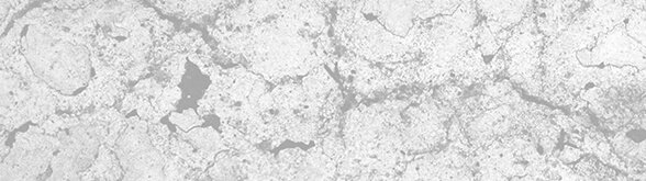Alberta Proactive Abatement