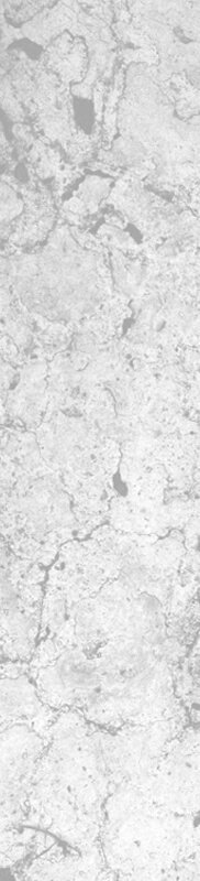Alberta Proactive Abatement