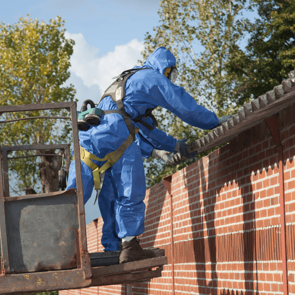 Alberta Proactive Abatement