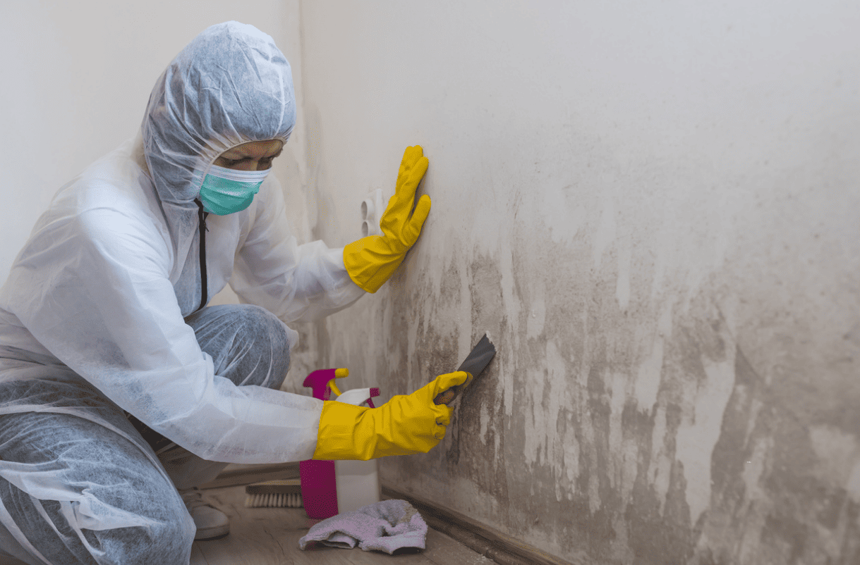 Alberta Proactive Abatement