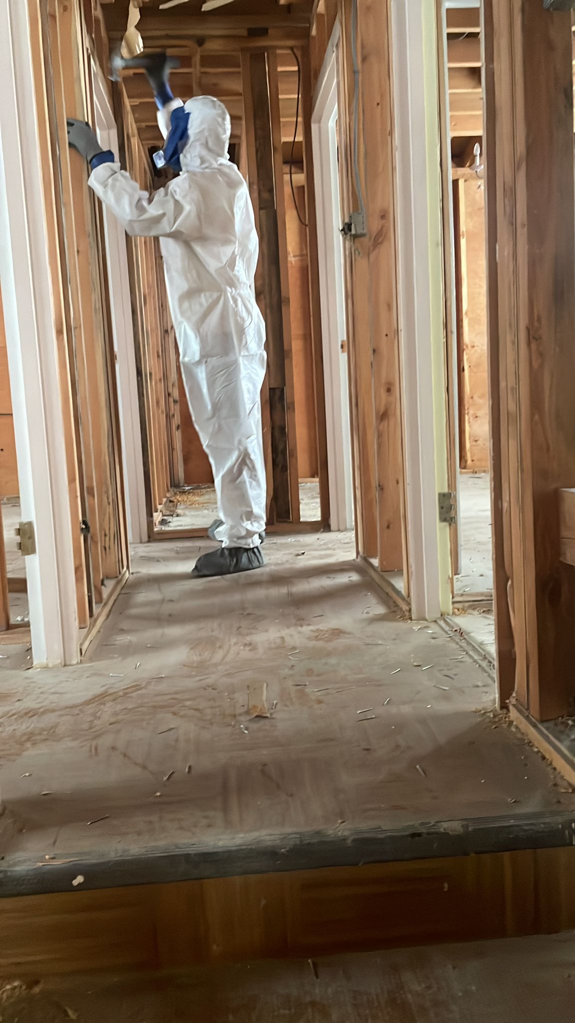 Alberta Proactive Abatement